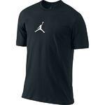Футболка Jordan SS Drifit Tee - картинка
