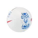 Мяч футбольный Nike France Supporters Ball №5 - картинка