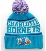 Шапка «Charlotte Hornets» - картинка