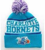 Шапка «Charlotte Hornets» | EU105-CHAHOR