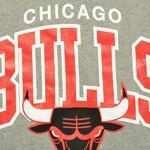 Толстовка Mitchell & Ness Chicago Bulls - картинка