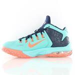 Баскетбольные кроссовки Nike Ambassador VII | 705269-484