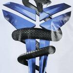 Футболка Nike BLACK MAMBA SHEATH TEE | 465629-100