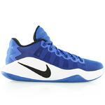 Баскетбольные кроссовки Nike Hyperdunk 2016 low | 844363-401
