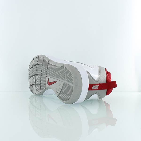 Купить Детские баскетбольные кроссовки Nike Team Hustle D5 (GS) | 454461-106 в Москве или заказать доставку на Slamdunk.su
