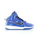 Детские баскетбольные кроссовки Nike Team Hustle D6  | 599187-400
