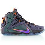 Баскетбольные кроссовки Nike Lebron 12 "Instinct" | 684593-583