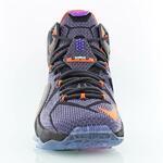 Баскетбольные кроссовки Nike Lebron 12 "Instinct" | 684593-583