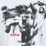 Футболка NIKE LEBRON 3D TEE (HERO) - картинка