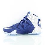 Баскетбольные кроссовки Nike Lebron 12 "What If?" | 684593-410