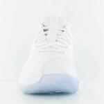 Баскетбольные кроссовки Lebron XIV Low "ICE" - картинка