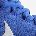 Баскетбольные кроссовки Nike PG 1 'Game Royal' - картинка