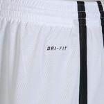 Шорты Nike Regional Hustle Short | 500034-100