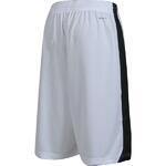 Шорты Nike Regional Team Dri-Fit Short - картинка