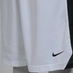 Шорты Nike Regional Team Dri-Fit Short - картинка