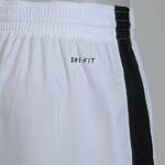 Шорты Nike Regional Team Dri-Fit Short - картинка