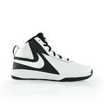 Баскетбольные кроссовки Nike Team Hustle D7 (GS) | 747998-101
