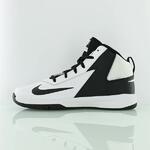 Баскетбольные кроссовки Nike Team Hustle D7 (GS) | 747998-101