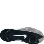 Баскетбольные кроссовки Nike Zoom Hyperchaos  | 536841-100