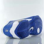 Баскетбольные кроссовки Nike Air Visi-Pro - картинка