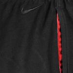 Баскетбольные шорты Nike Lebron - картинка