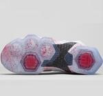 Баскетбольные кроссовки Nike LeBron XIII Friday The 13th | 807219-106