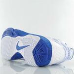 Баскетбольные кроссовки Nike Zoom Hyperfuse - картинка