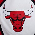 Шорты Adidas Chicago Bulls - картинка