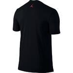 Футболка Air Jordan Wingspan | 748550-011